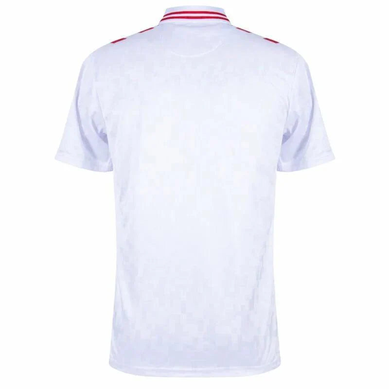Denmark Away Jersey 2024/25