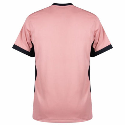 Paris Saint-Germain  Fan Jersey Third Jordan 2023/24 Patches UCL UEFA Foundation (Official Printing)