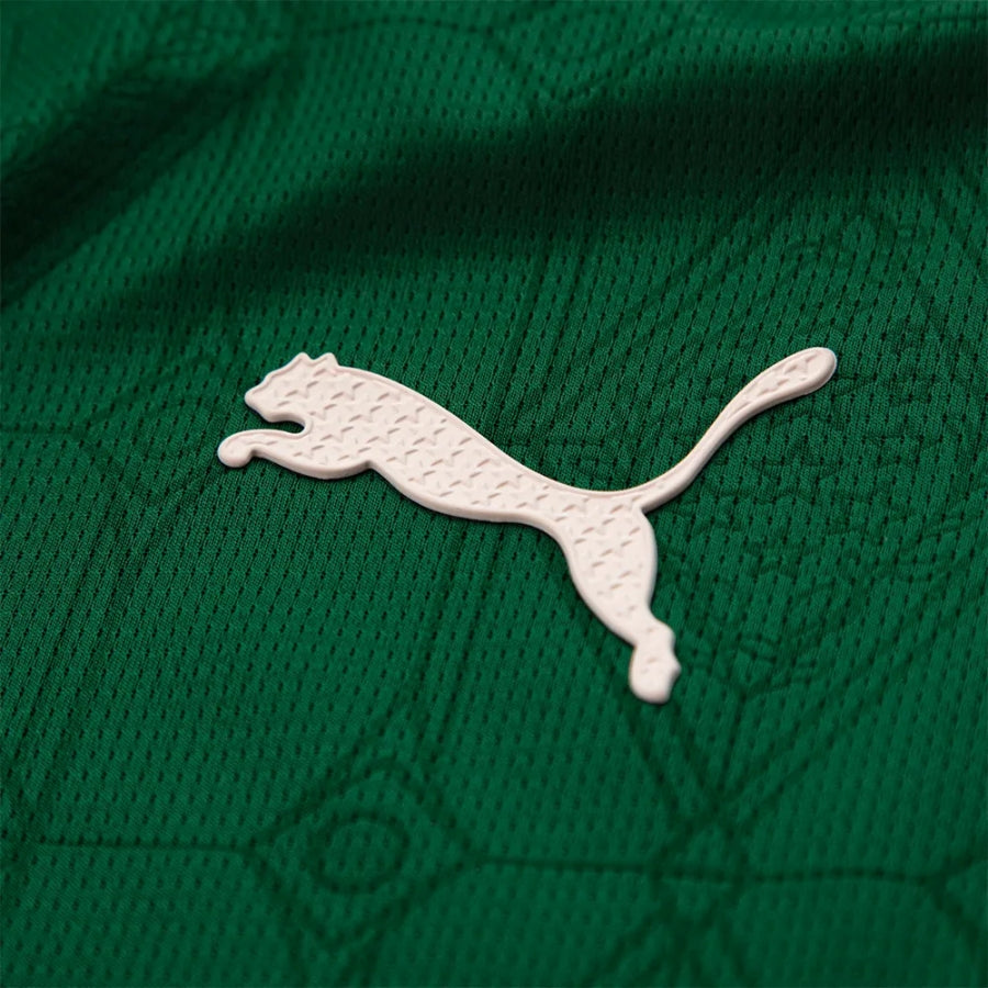 Palmeiras Home Authentic Player 2025/26