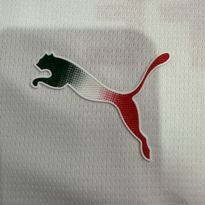 Chivas de Guadalajara Away Fan Jersey 2025/26