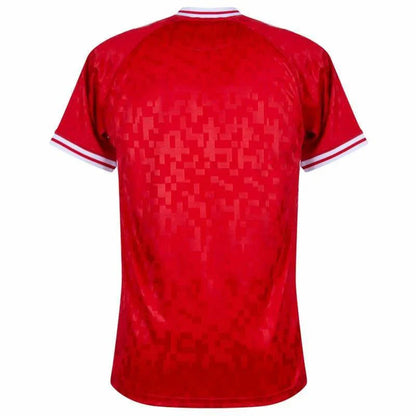 Denmark Home Jersey 2024/25
