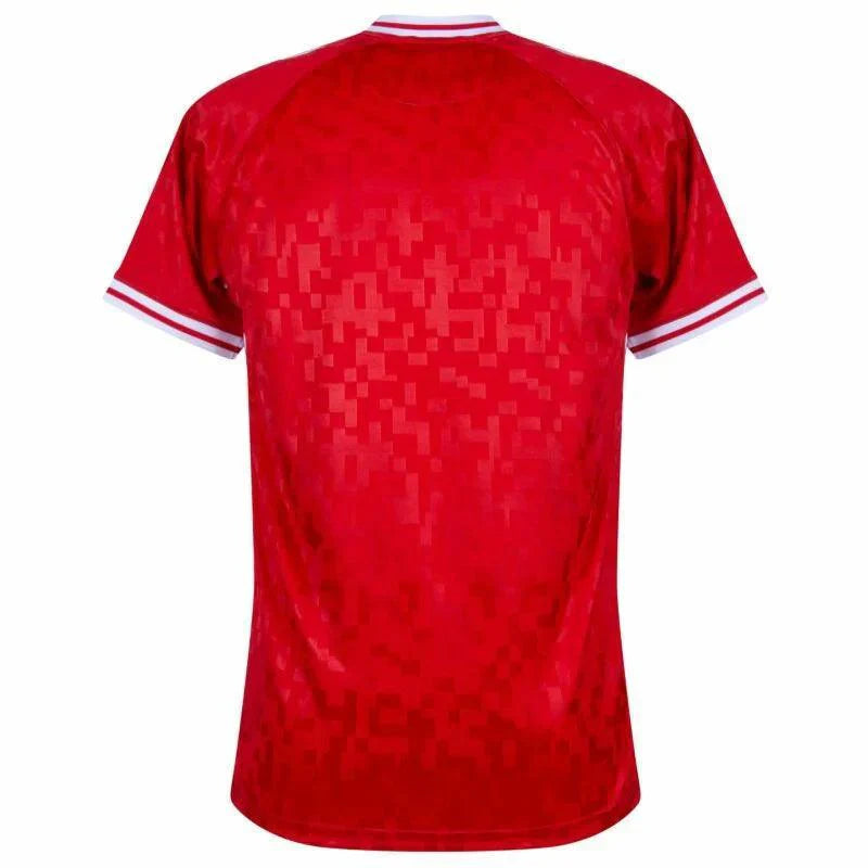 Denmark Home Jersey 2024/25