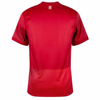 Poland  Away Jersey 2024/25